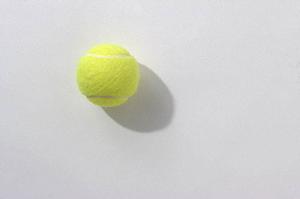 福山でダイエットとボディメイクを両立