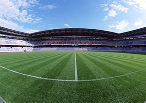 打撲の保護・予防にはマクダビッド